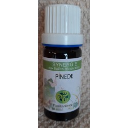 PINEDE : SYNERGIE DIFFUSION